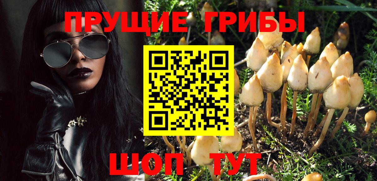 Добрянка  Галлюциногенные грибы Magic Shrooms  Вход с VPN 
