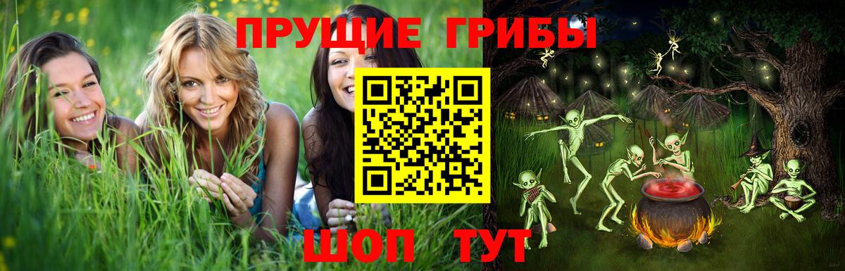 Псилоцибиновые грибы прущие грибы Добрянка
